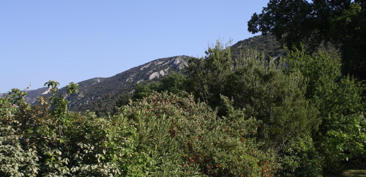 Hestia Bed & Breakfast Robion en Luberon Exterior photo